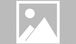 动漫 花,绽放于时光之河的青春传奇